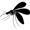 rr3wr-removebg-preview